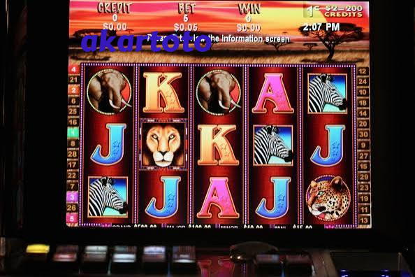 dkicasino editorial visual